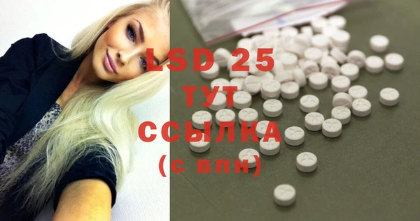 крисы Абаза
