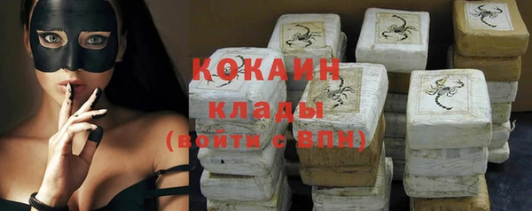 крисы Абаза