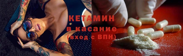 крисы Абаза