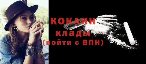 крисы Абаза