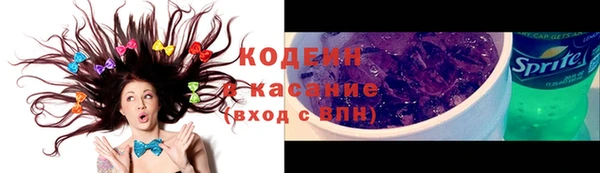 крисы Абаза