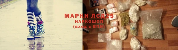 крисы Абаза