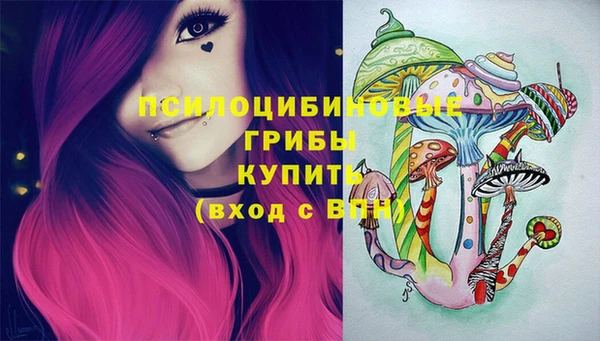 крисы Абаза