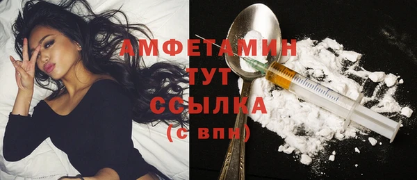 крисы Абаза