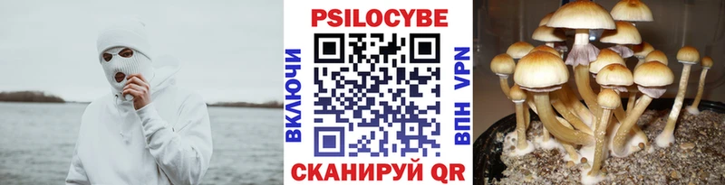 Псилоцибиновые грибы Cubensis МЕГА как войти Ивантеевка
