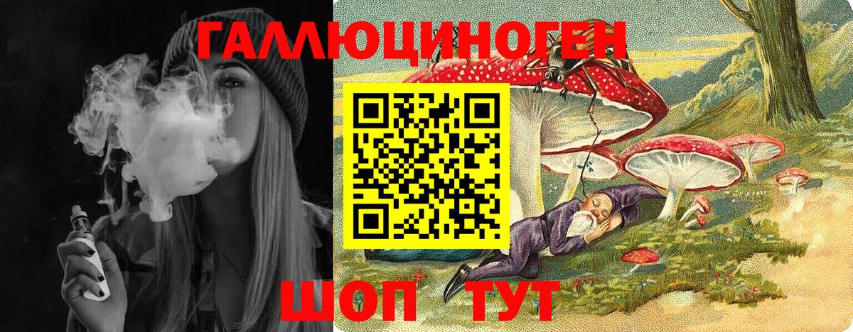 Галлюциногенные грибы Psilocybe Ивантеевка